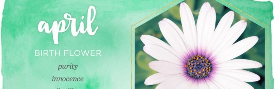 florist chennai Cover Image