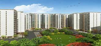 DLF The Arbour 63- Residential Property in Sec-63 Gurgaon