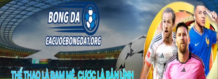 Cá cược bóng đá bóng đá Cover Image