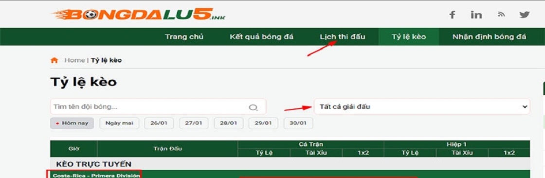 Nhà cái BONGDALU Cover Image