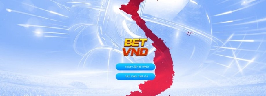 Betvnd Casino Cover Image