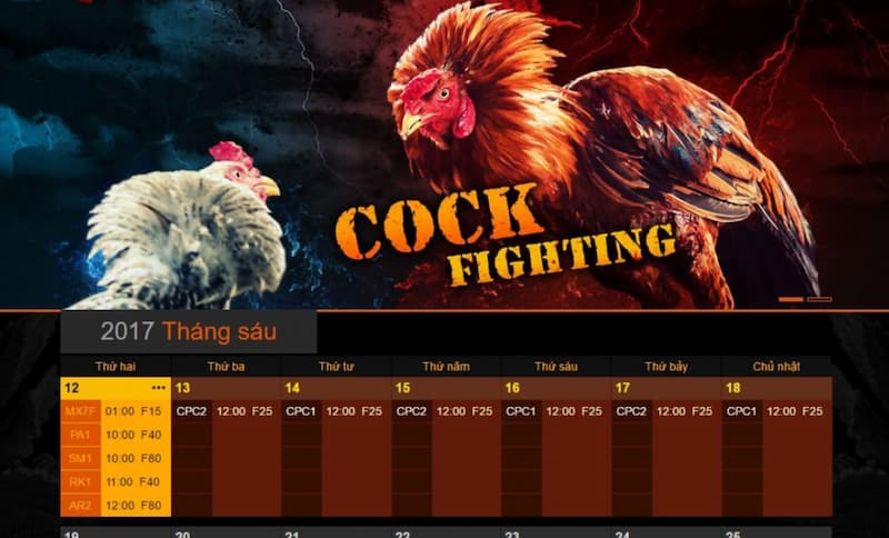 Đá gà FANVIP: Xem live full HD, cược sòng phẳng, thưởng to