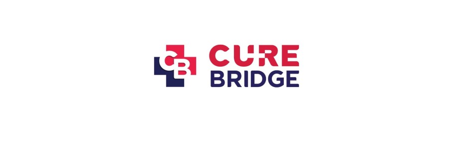curebridge seo Cover Image