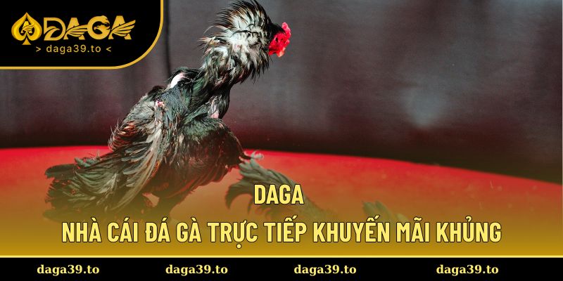 Đá Gà Trực Tiếp Hàng Đầu, Khuyến Mãi Khủng Tại Sân Chơi DAGA