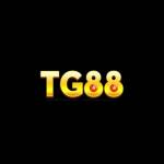TG88 codes Profile Picture