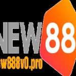 new888v0 pro Profile Picture
