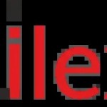 ilex Ceramica Profile Picture