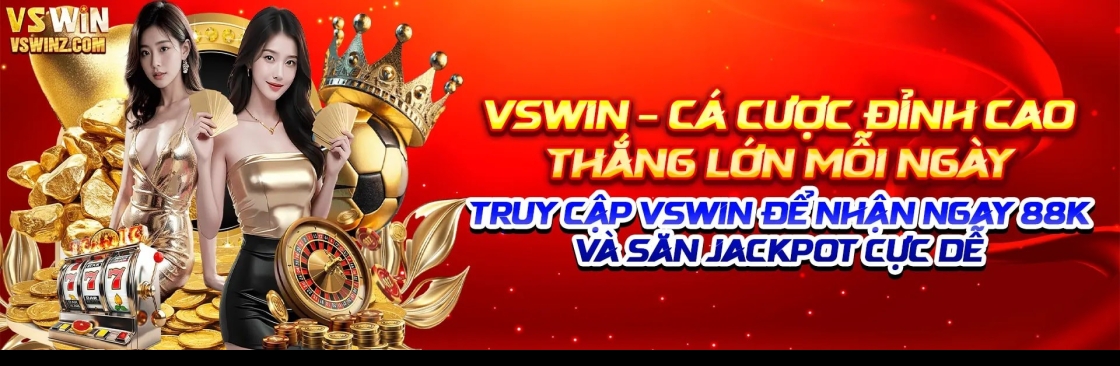VSWinz Com Cover Image