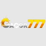 Gacor777 Profile Picture