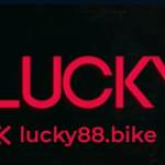 Nha Cái Lucky88 Profile Picture