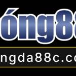 Review Bongda88c Profile Picture