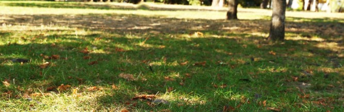 Miles Creek Irrigation and Lighting Cover Image