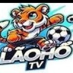 laohotv Profile Picture