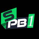 SPB1 Tempat Profile Picture