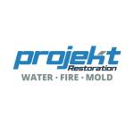 Projekt Restoration Profile Picture