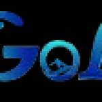 Gol Travels Profile Picture