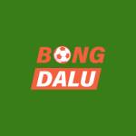 Bongdalu Nha cai Profile Picture