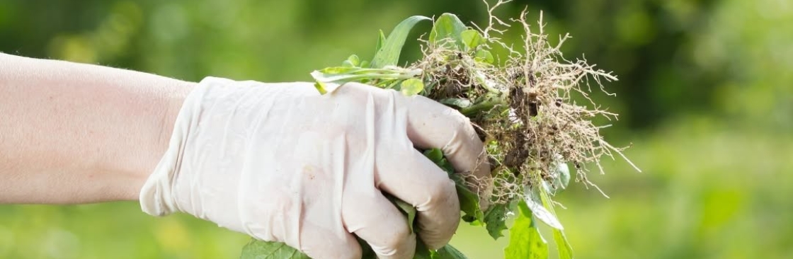 Weed Pro Lawn Care Cover Image