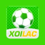 Xôi Lạc Profile Picture