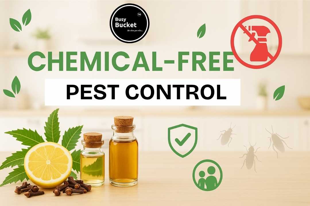 Pest Control Without Chemicals: Safe, Natural & Actually Effective