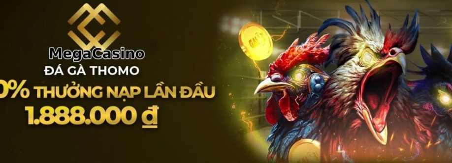 Mega Casino Cover Image
