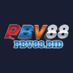 PBV88 Profile Picture