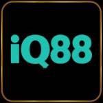 iq88 me Profile Picture