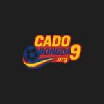 9org cadobongda Profile Picture