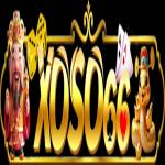 xoso661 org Profile Picture