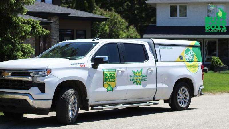 Red Deer Pest Control: Residential & Commercial Services