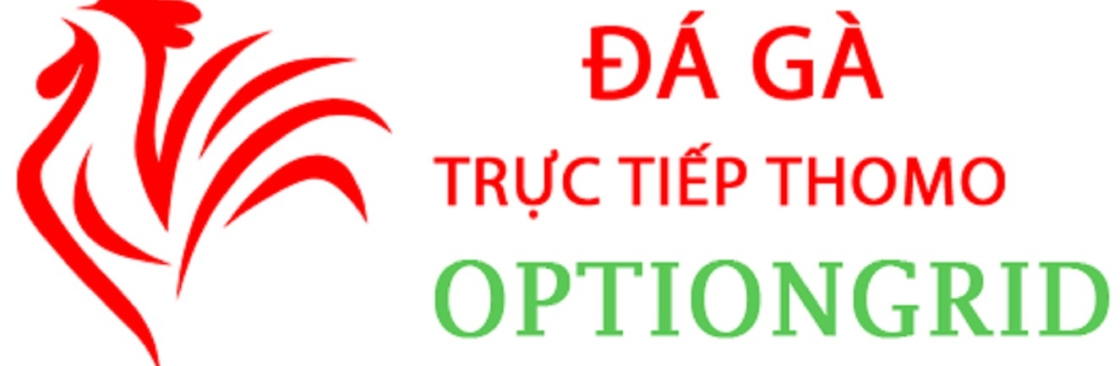 Đá Gà Trực Tiếp Thomo Cover Image