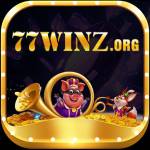 77winz org Profile Picture