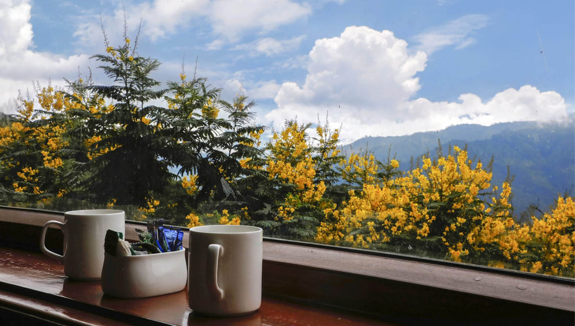 Best Long Weekend Near Ranikhet | Shivani Resort