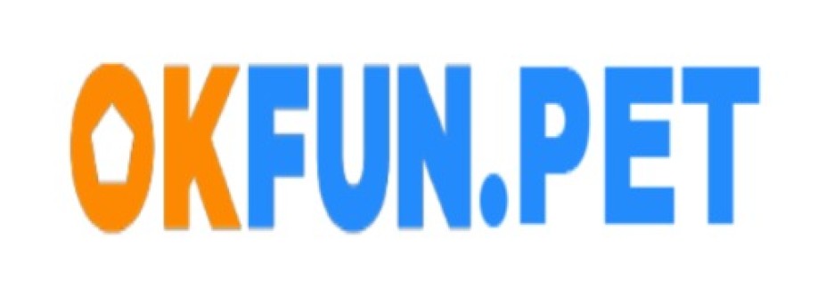 OK FUN Cover Image