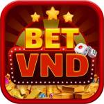 Betvnd one Profile Picture