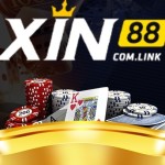 xin88com link Profile Picture