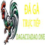 Đá Gà Cựa Dao Profile Picture