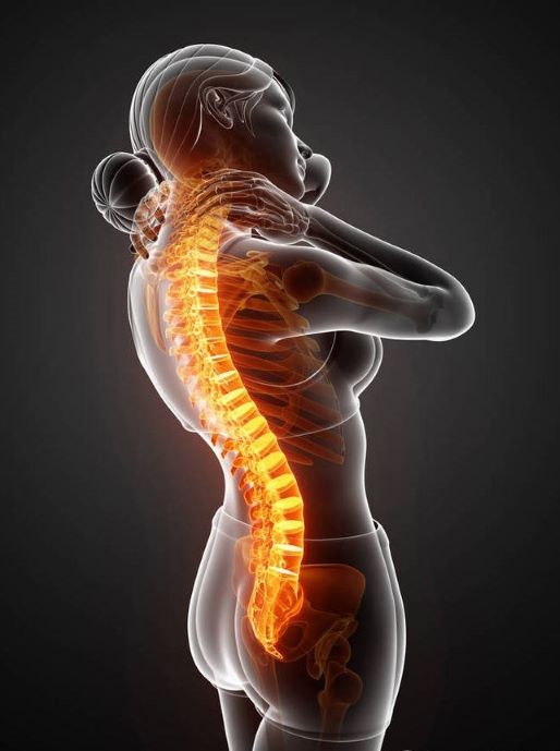Neck and Head Pain