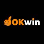 okwin domains Profile Picture