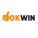 OKWIN vcom Profile Picture