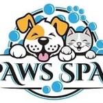 Paws Spas Profile Picture