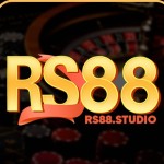Rs88 studio Profile Picture