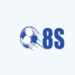 8S observer Profile Picture