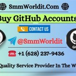 Buy GitHub Accounts Profile Picture