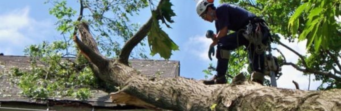 Top End Tree Services Cover Image