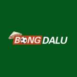 Nhà cái BONGDALU Profile Picture
