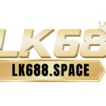 LK68 space Profile Picture