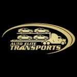 Auto Elite Transports Inc Profile Picture