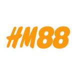 HM88 VINA Profile Picture