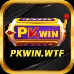 Pkwin Pkwin Profile Picture
